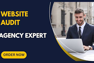 audit your ecommerce store and provide solutions
