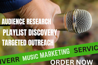 create a targeted music marketing strategy for your release