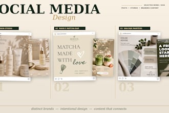 design professional social media posts and instagram stories