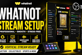 optimize whatnot stream setup for auction sellers