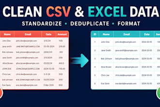 clean and standardize one CSV or excel file