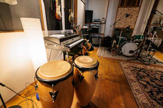 record charango, cuatro, tres,bandola, berimbau,steelpan,congas, bongo,timbales