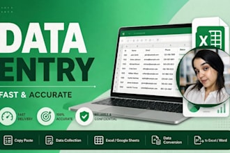 do accurate data entry, copy paste, and PDF to excel conversion