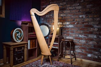 record tinwhistle, lowwhistle, uilleann pipe, bodhrán,celtic harp,irish bouzouki