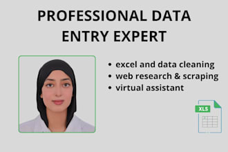 do fast and accurate data entry work
