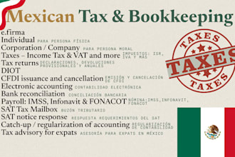 mexican tax compliance, bookkeeping and payrolls