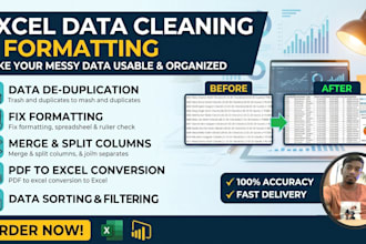 clean, format, merge, split excel data