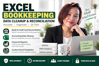 do excel bookkeeping, data cleanup, account reconciliation