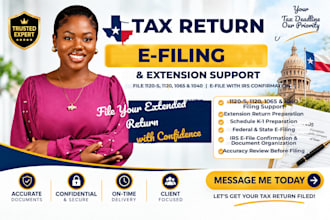 efile your 1120s, 1120, 1040 and 1065 extended business tax filling returns cpa
