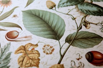 draw realistic scientific botanical illustrations of flowers