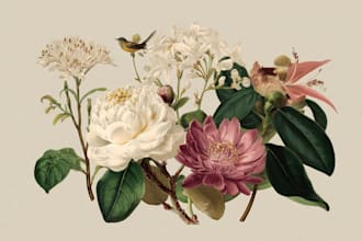 create a botanical illustration in the traditional
