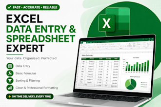 do excel data entry, formatting, and spreadsheet cleanup