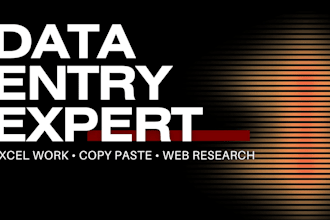 do professional online data entry, copy paste,and excel work