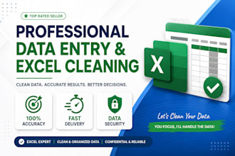 do professinal data entry, excel cleaning, and web research