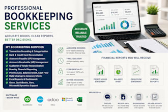 provide professional bookkeeping and monthly accounting services