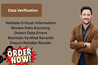 do professional data verification and data validation