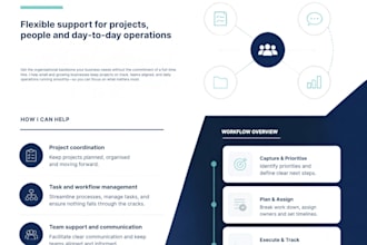 provide professional project and operations management support