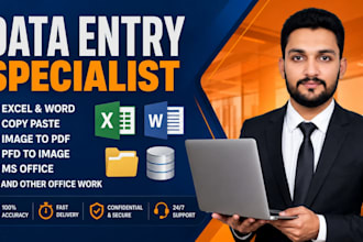 do professional data entry excel data entry and web research