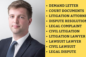 be civil lawyer in ca,fl,ny and write appeals, lawsuits, tort claims,divorce,nda
