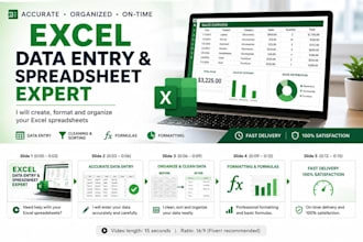 create , format and organize excel spreadsheet