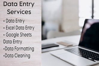do accurate data entry, copy paste, and excel data cleaning