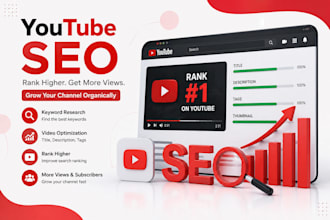 do professional youtube SEO to rank your videos