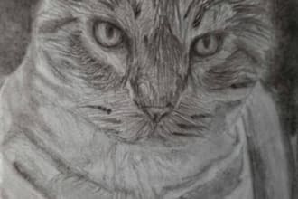 create a custom realistic pet drawing for you