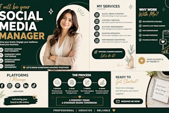 design a professional social media kit, brand kit, logo and media kit