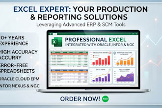 do professional excel data entry, production report, and inventory manage
