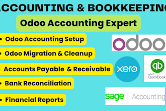 do provide expert bookkeeping and accounting in odoo