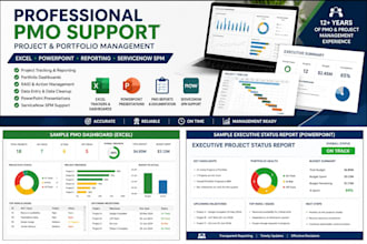 provide servicenow spm, ppm and project portfolio management consulting