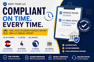 file colorado periodic report and llc annual report in wyoming, florida delaware