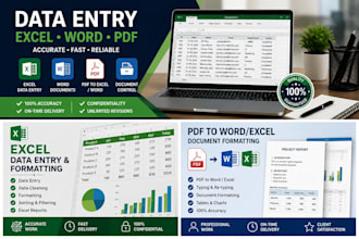 do professional data entry document control excel word tasks