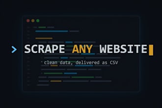 build a python web scraper for any website