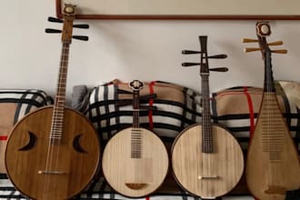 record erhu, pipa, guzheng, yangqin, gaohu, sanxian, gehu, liuqin ,ruan