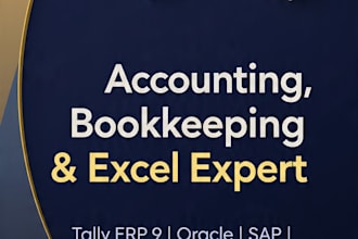 do professional bookkeeping accounting and excel financial reports