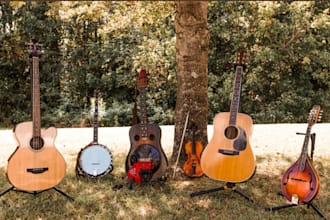 record bluegrass banjo, fiddle, mandolin,guitar,dulcimer,dobro,harmonica violin