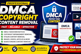 provide dmca copyright content removal service