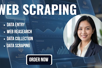 do web scraping, web research, leads, excel spreadsheet work