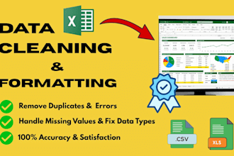 do data cleaning, formatting, and preprocessing in excel or python