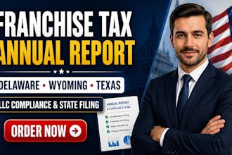 file franchise tax annual report for delaware wyoming llc financial statement