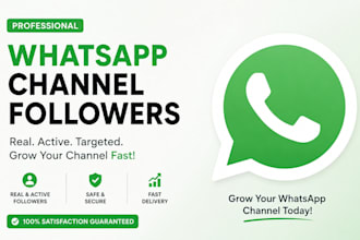 targeted whatsapp channel promotion to active audiences