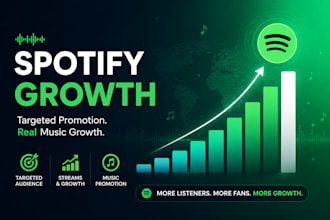 setup targeted music ads for organic spotify music promotion, USA music promo