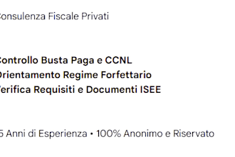 provide expert orientation for italian partita iva and forfettario
