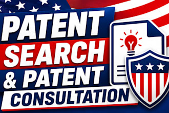 provide professional patent search and patent document consultation