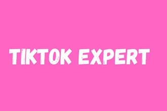 setup tiktok account tiktok seo