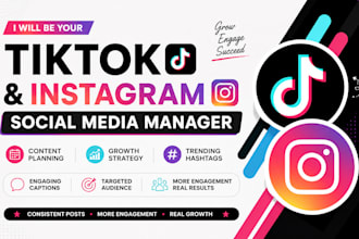 tiktok post promotion instagram post promotion, social media manager