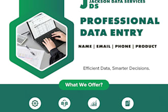 do amazon jumia shopify product data entry and excel work