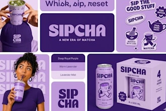 design a professional logo branding kit and brand identity