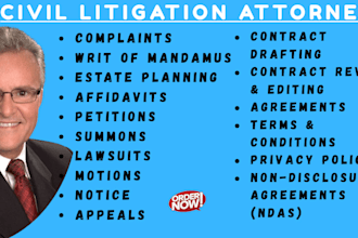 draft and review writ of mandamus immigration lawyer